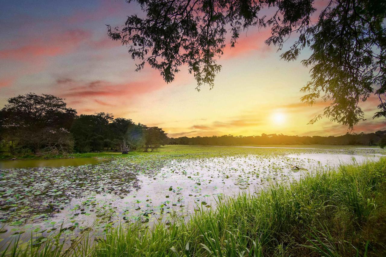 Elephas Resort & Spa Sigiriya Luaran gambar